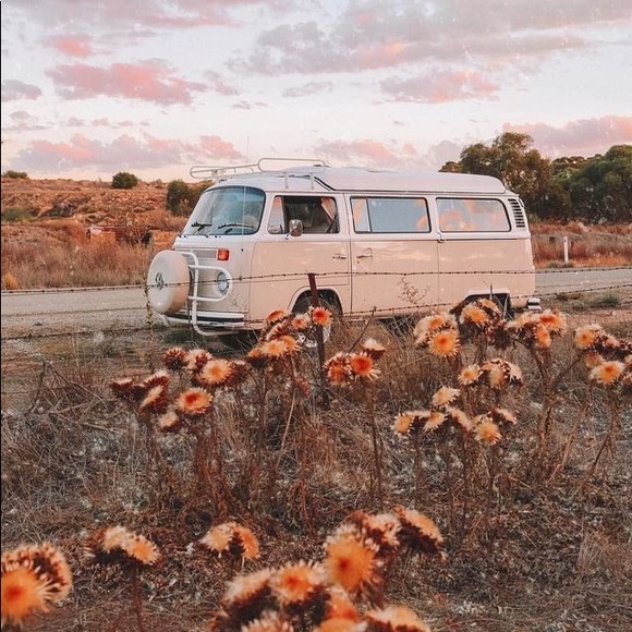 Meet your Posher, Emmy - Picture 1 of 1